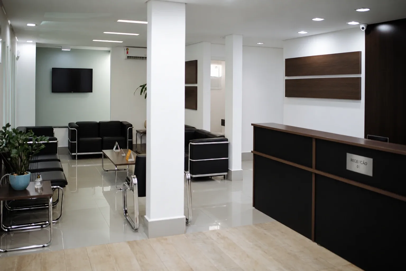 Recepção e sala de espera da Clínica N3, com balcão de atendimento, sofás e plantas